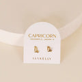 Zodiac Earrings - Capricorn