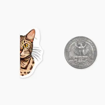 Mini Sticker- Pitten