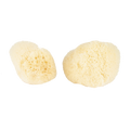 Silk Sponge 2 pack