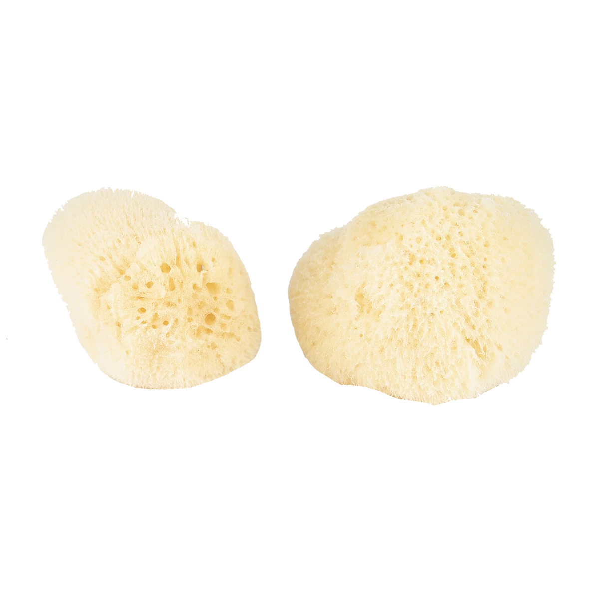 Silk Sponge 2 pack