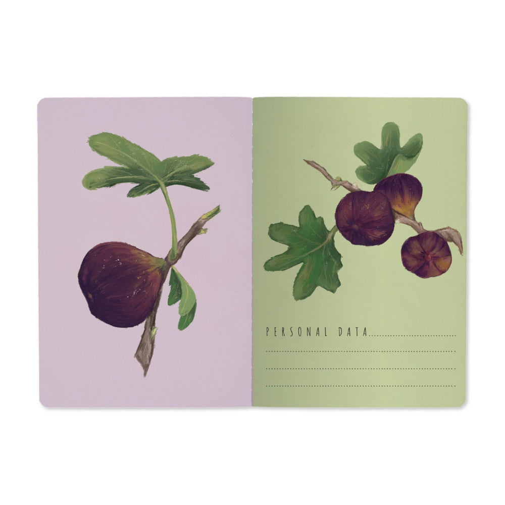 Notebook- Figs on White