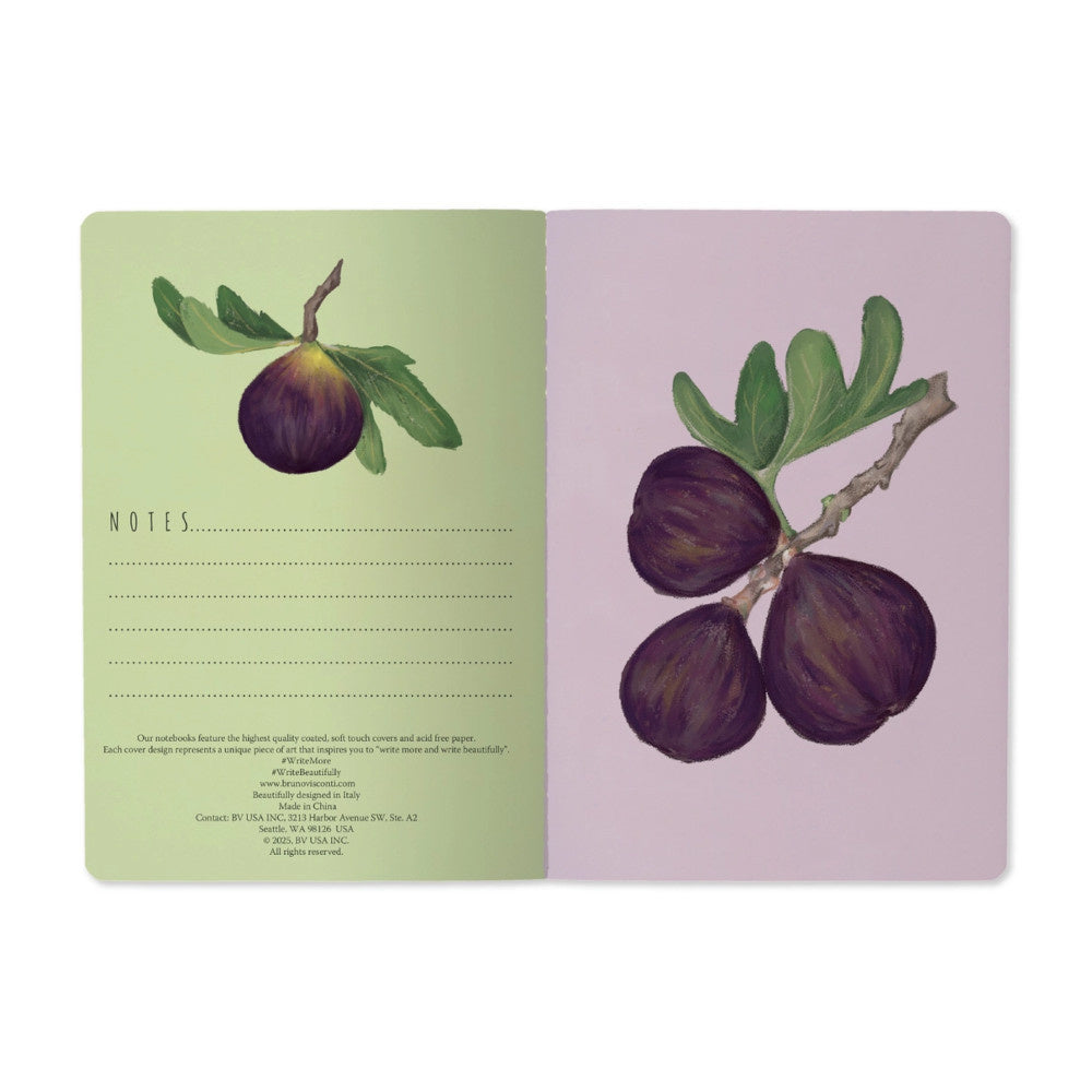 Notebook- Figs on White