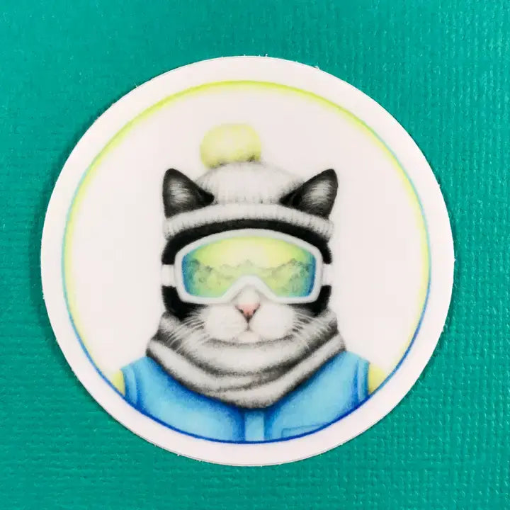 AI- Ski Cat