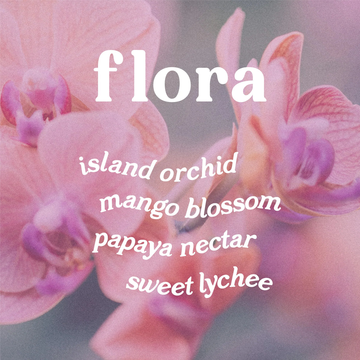 Flora Hue Candle- Wild Orchid