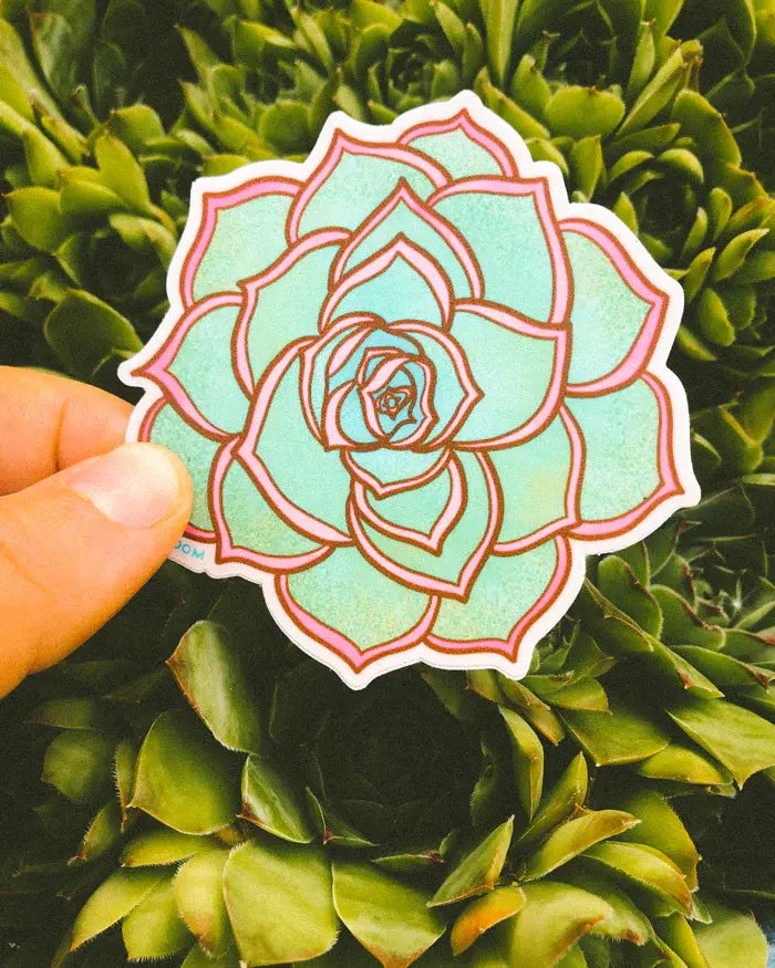 Pink/Green Succulent Sticker