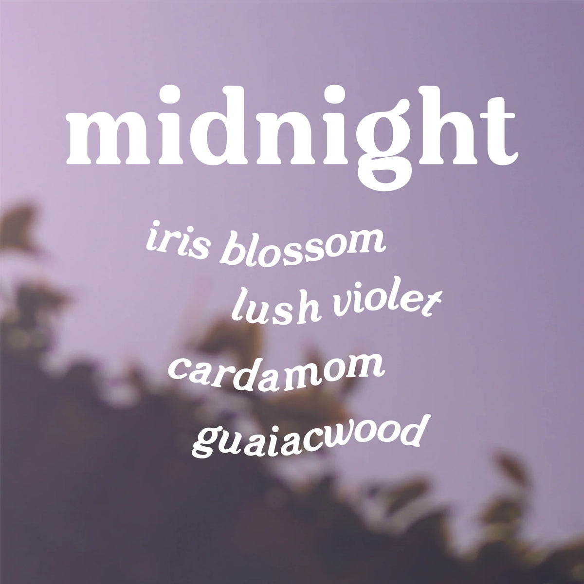 Midnight Hue Candle- Black Iris
